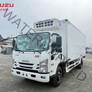 ISUZU NQR550 Thùng Đông Lạnh Tải Trọng 5.3 Tấn